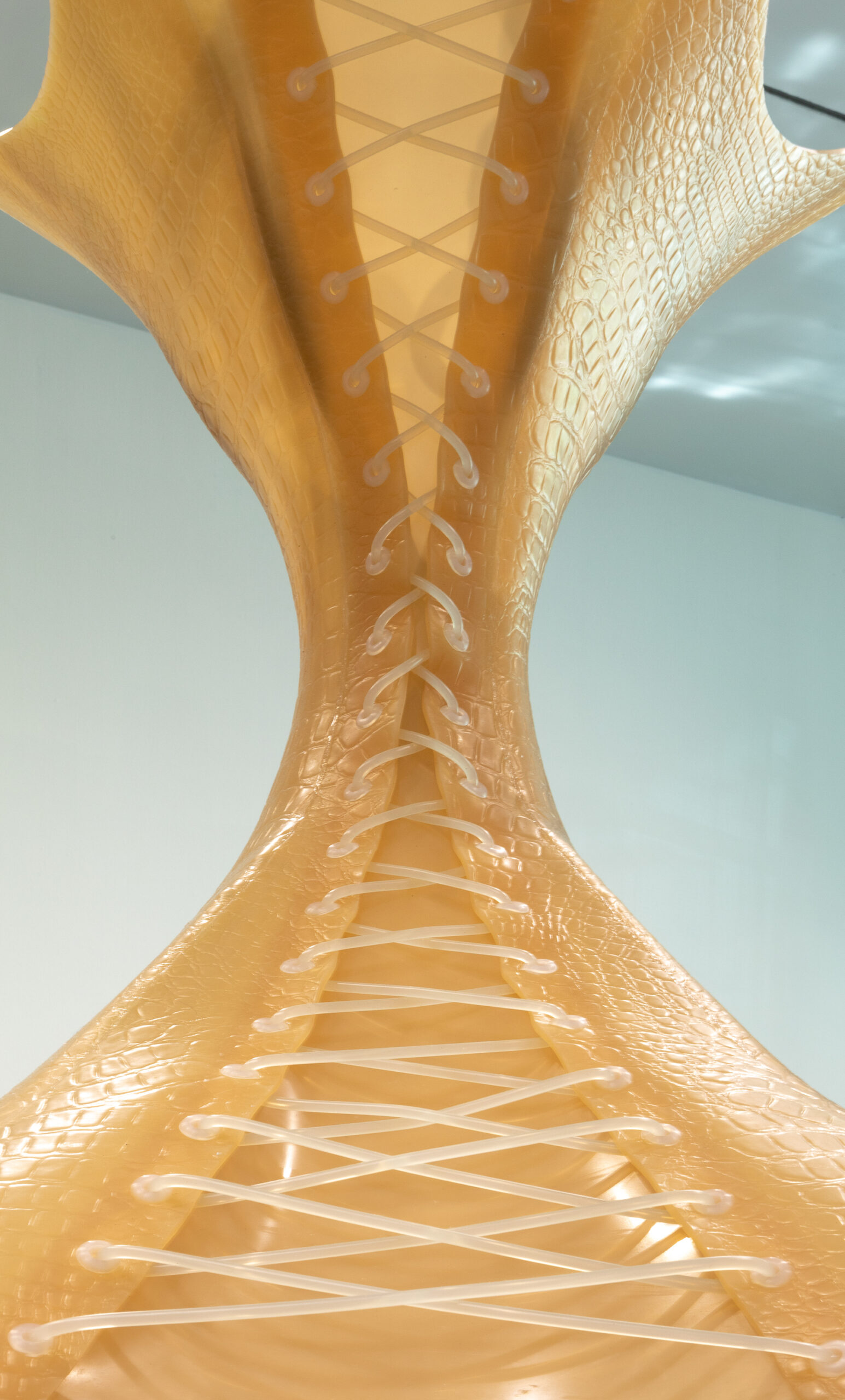 Close up of a flesh-toned latex sculpture resembling a lace-up corset.