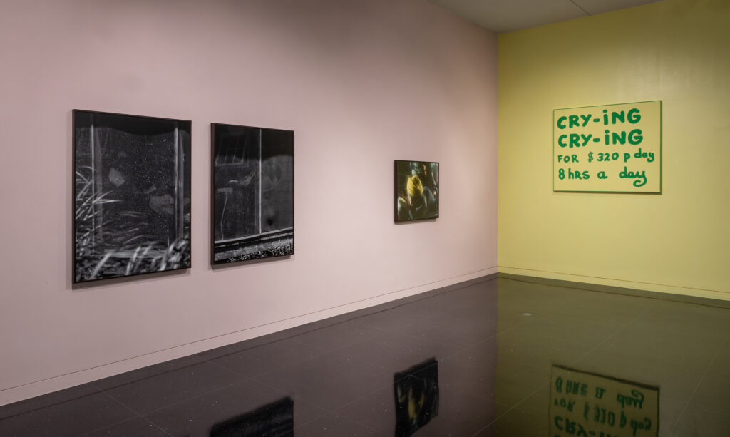 Three photographs on a pale pink wall on the left side. Two large mostly black photographs on the left and one smaller photograph of the back of a man's head wearing a bright yellow knit hat to the right. To the right of the pink wall is a pastel yellow wall displaying green text in bubble letters.