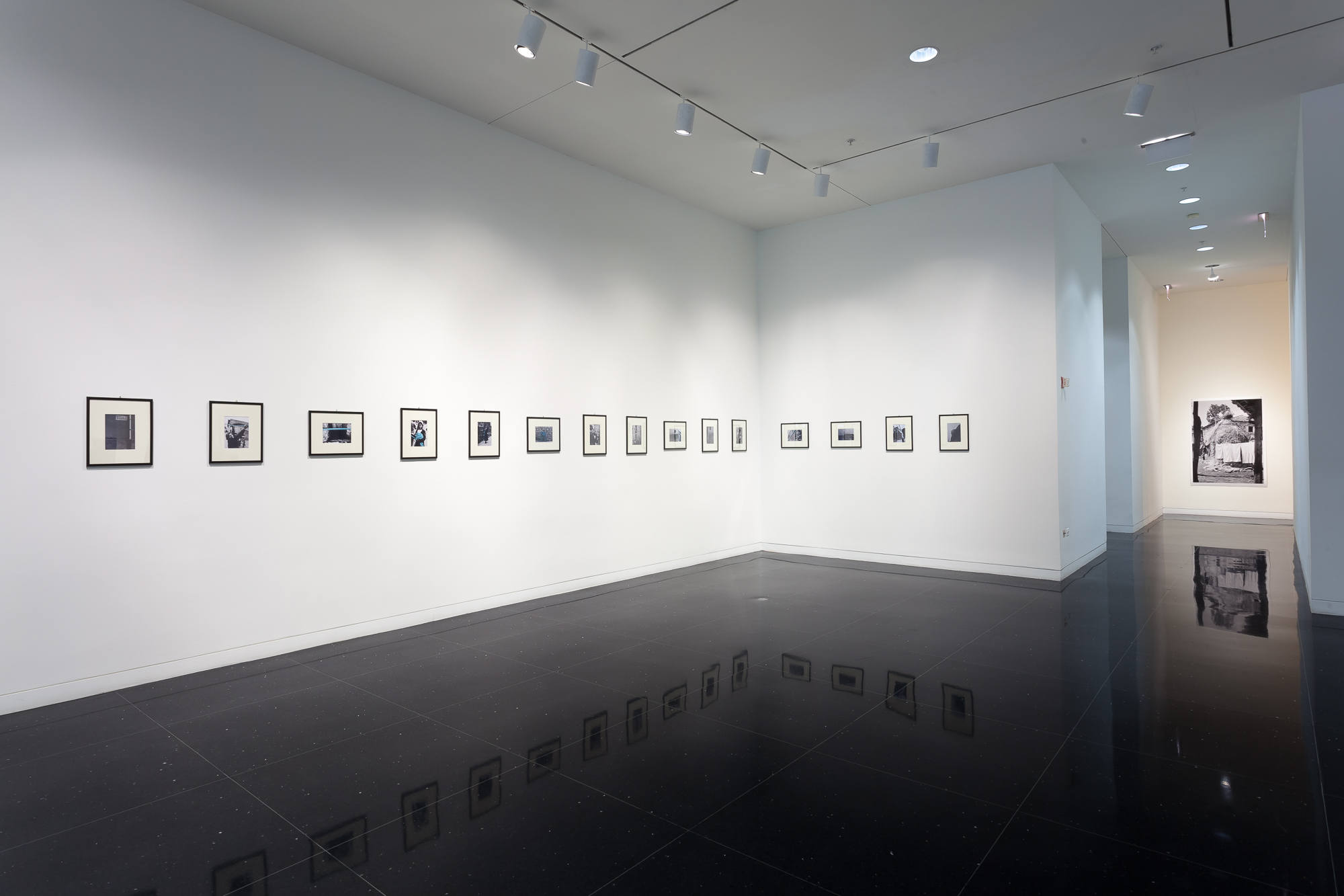 Fifteen images in black frames of the same size arranged in a horizontal line form an L shape across two intersecting gallery walls.