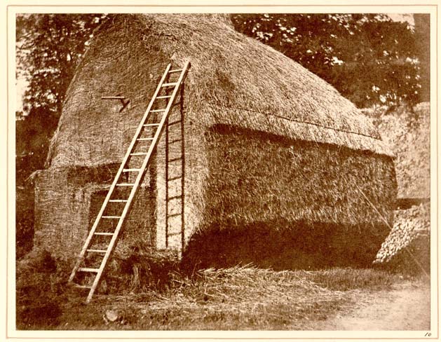 Sepia-toned image of a building clad in straw and a long ladder leading to its roof.