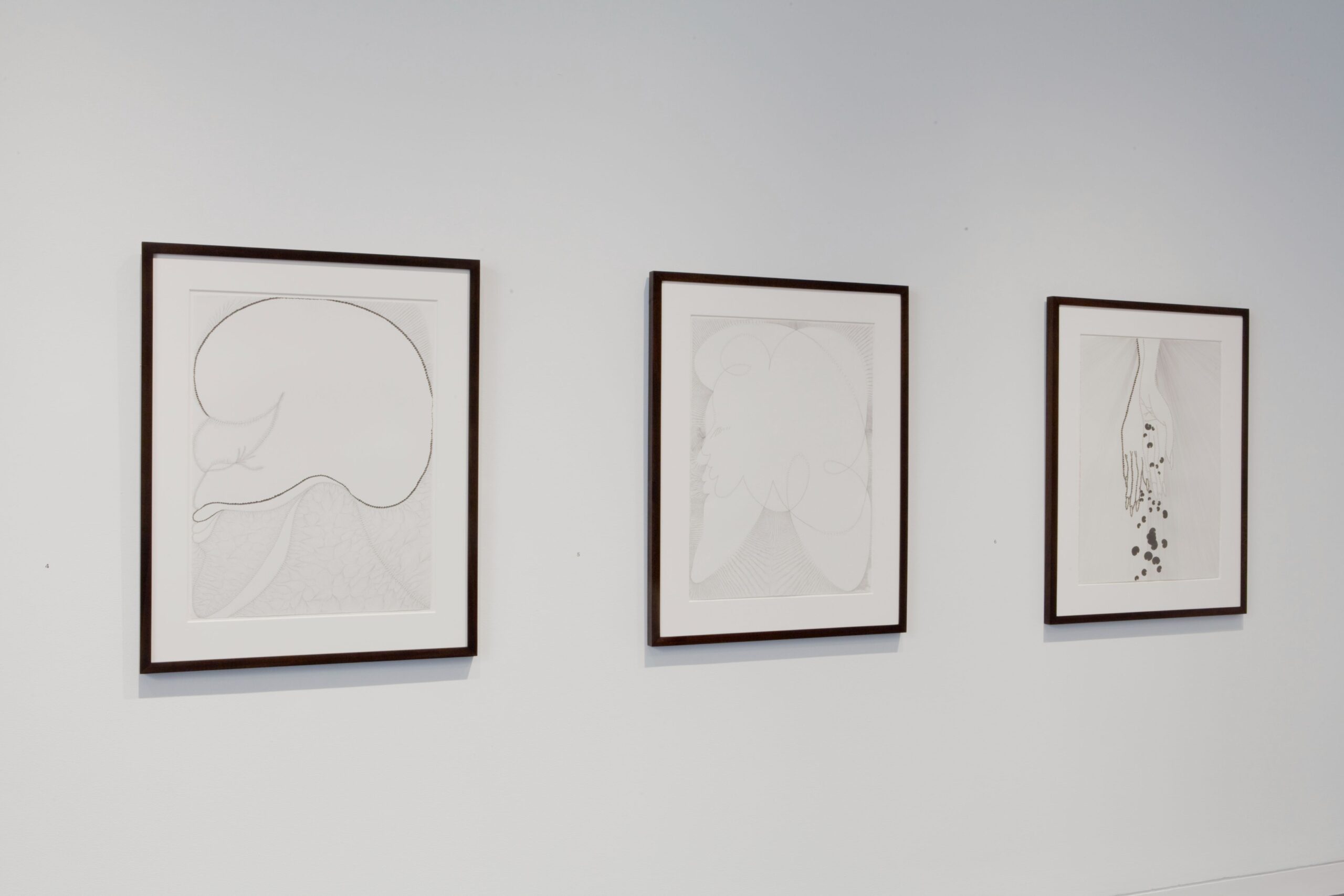 A row of framed drawings resembling minimalist portraits of faces in profile hanging in a row on a white gallery wall.